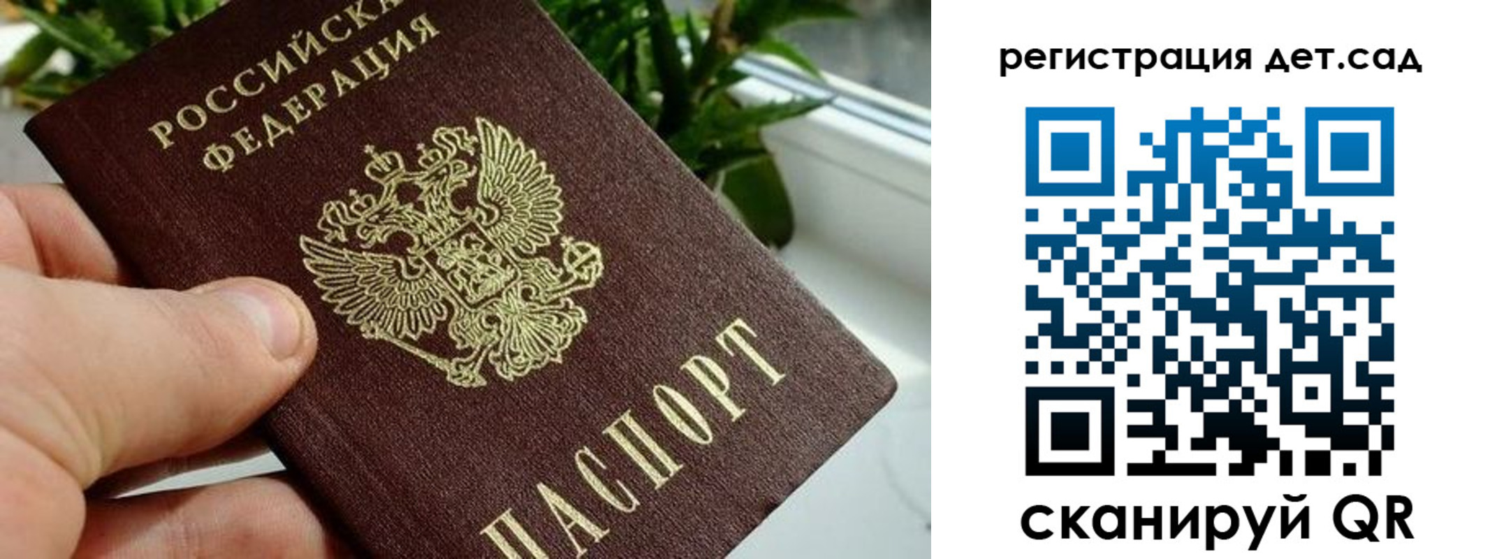 найти адрес прописки в Светогорске